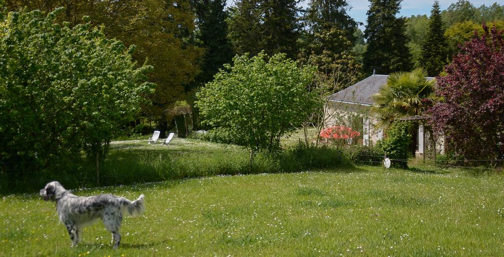 Bed and Breakfast La Barillerie La Flèche Zewnętrze zdjęcie